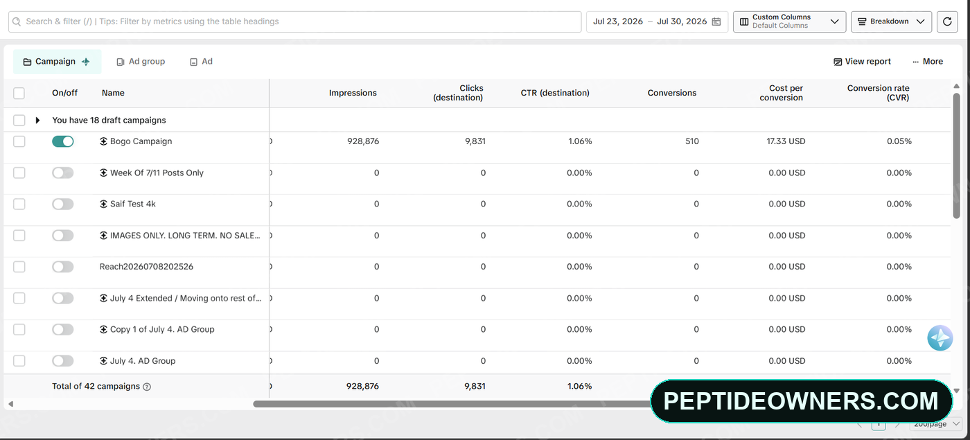 Ad campaign showing 9.06 return on ad spend